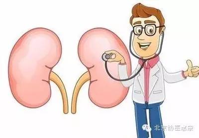 二甲双胍损害肝肾功能吗,二甲双胍会损伤肝肾吗