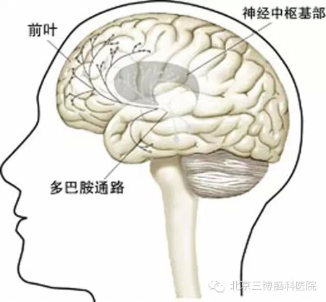 帕金森病(震颤麻痹)及其治疗