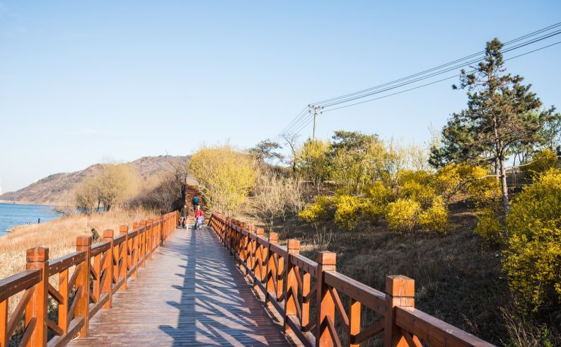 近期大连有什么活动,大连九月份有什么活动