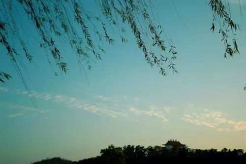 早安地球村最新政策,早安地球完整版