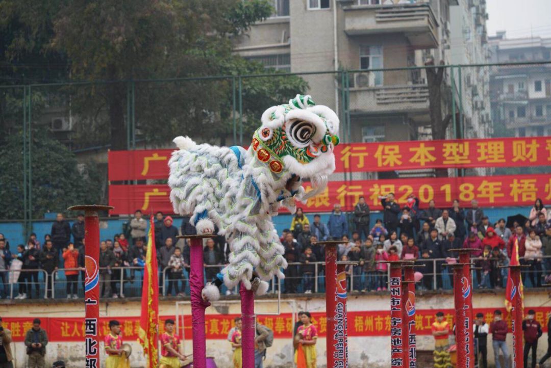 最精彩狮王争霸赛,狮王争霸赛精彩视频