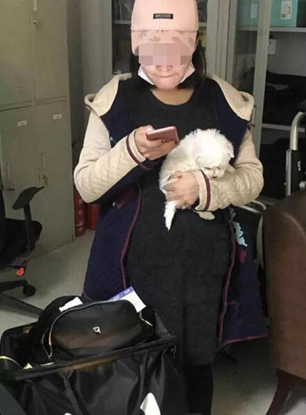 带狗回家后的第一天,带狗回家过年后带不回来了