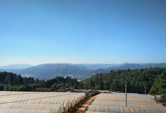 春节昆明周边好玩的地方推荐,昆明春节出游