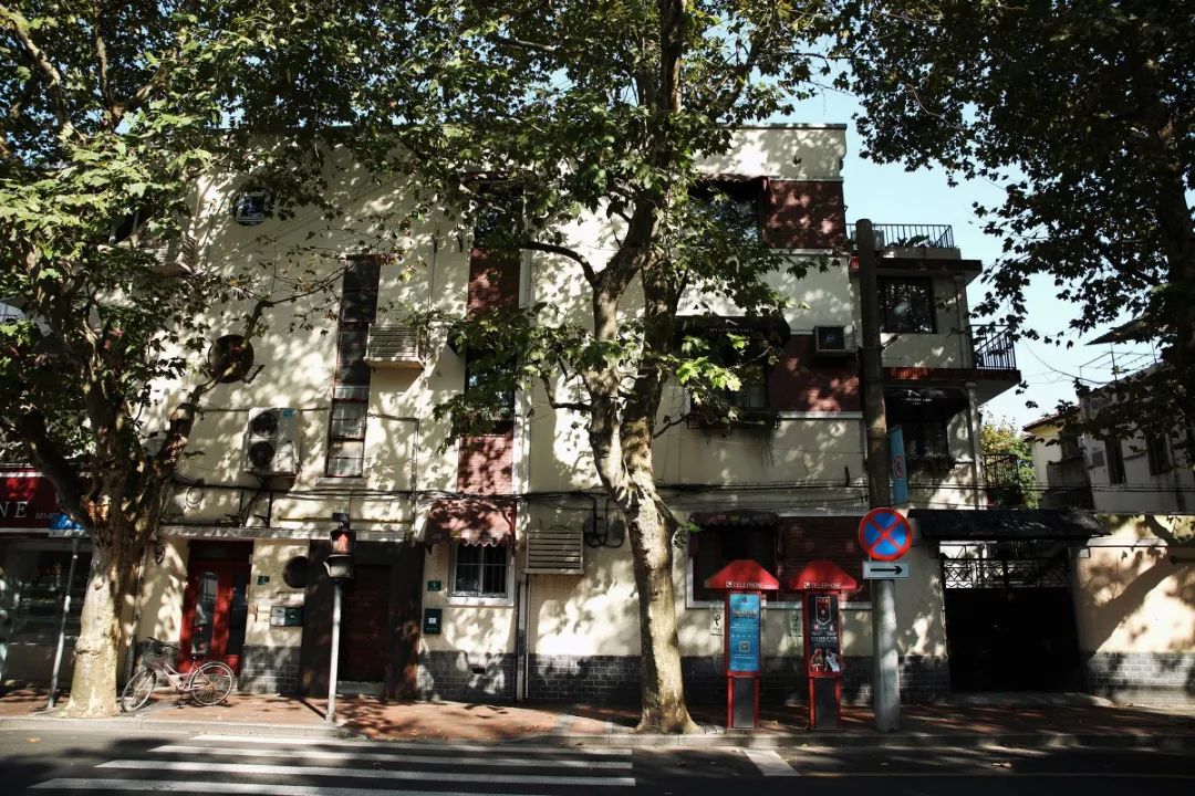 土著带你游东京,土著带你游重庆