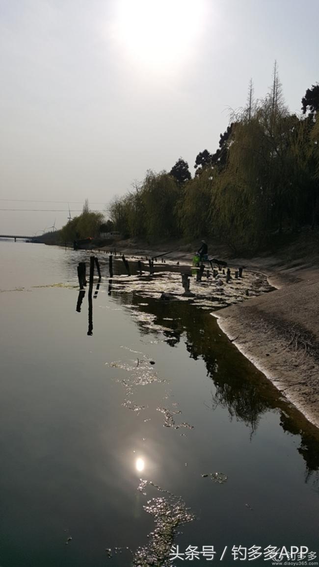 台钓竿双钩,台钓双钩沉底