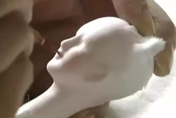 铅丝为骨骼,绢纱为肌肤,他用40年时间做出了最美“芭比娃娃”!