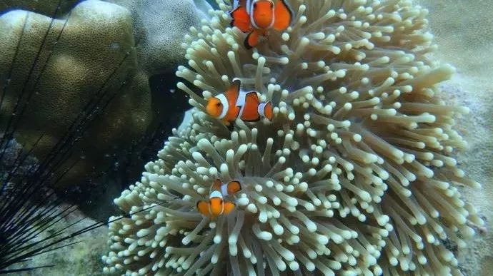 现在办理签证还来得及吗,现在办理签证