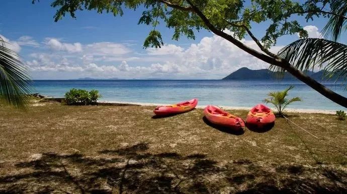 现在办理签证还来得及吗,现在办理签证