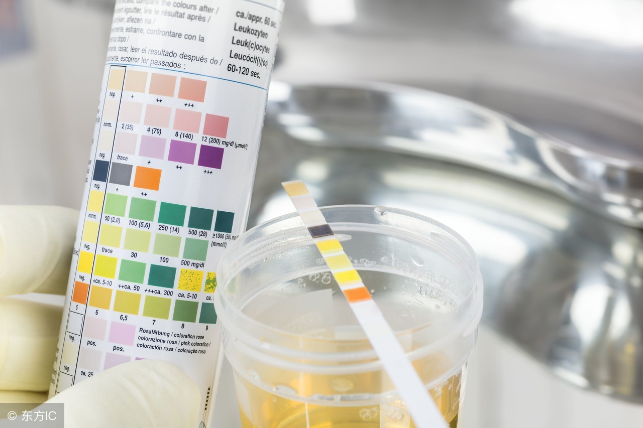 毓婷测排卵试纸晚上10点后不准了,用排卵试纸怎么测不出强阳