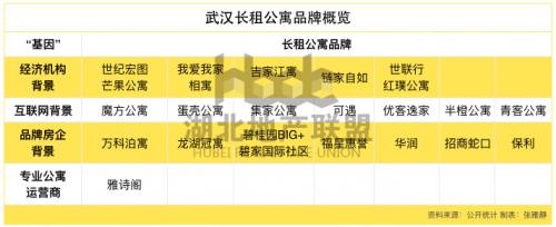 武汉这个350亿红利的大蓝海现状如何？