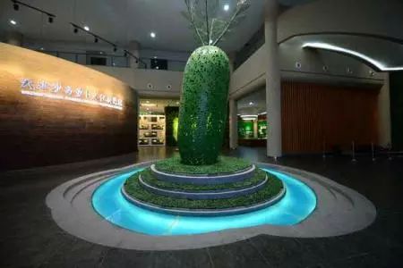 游玩攻略赶紧收藏,怎么收藏自己旅游过的地方