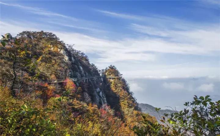 费县县城最惊艳的地方,费县有意境的地方