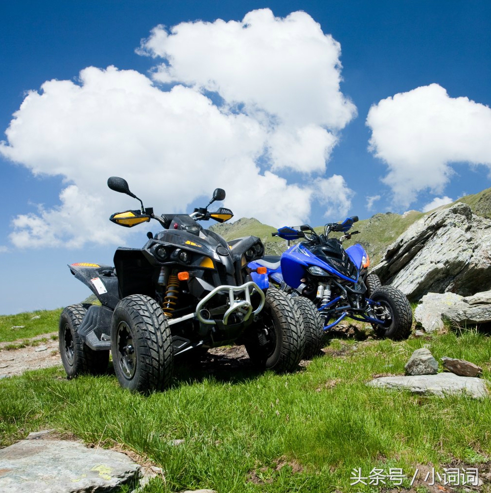 明星的婚礼都在哪里举行,明星中最浪漫的婚礼