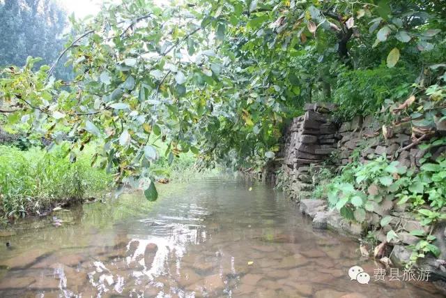 费县县城最惊艳的地方,费县有意境的地方