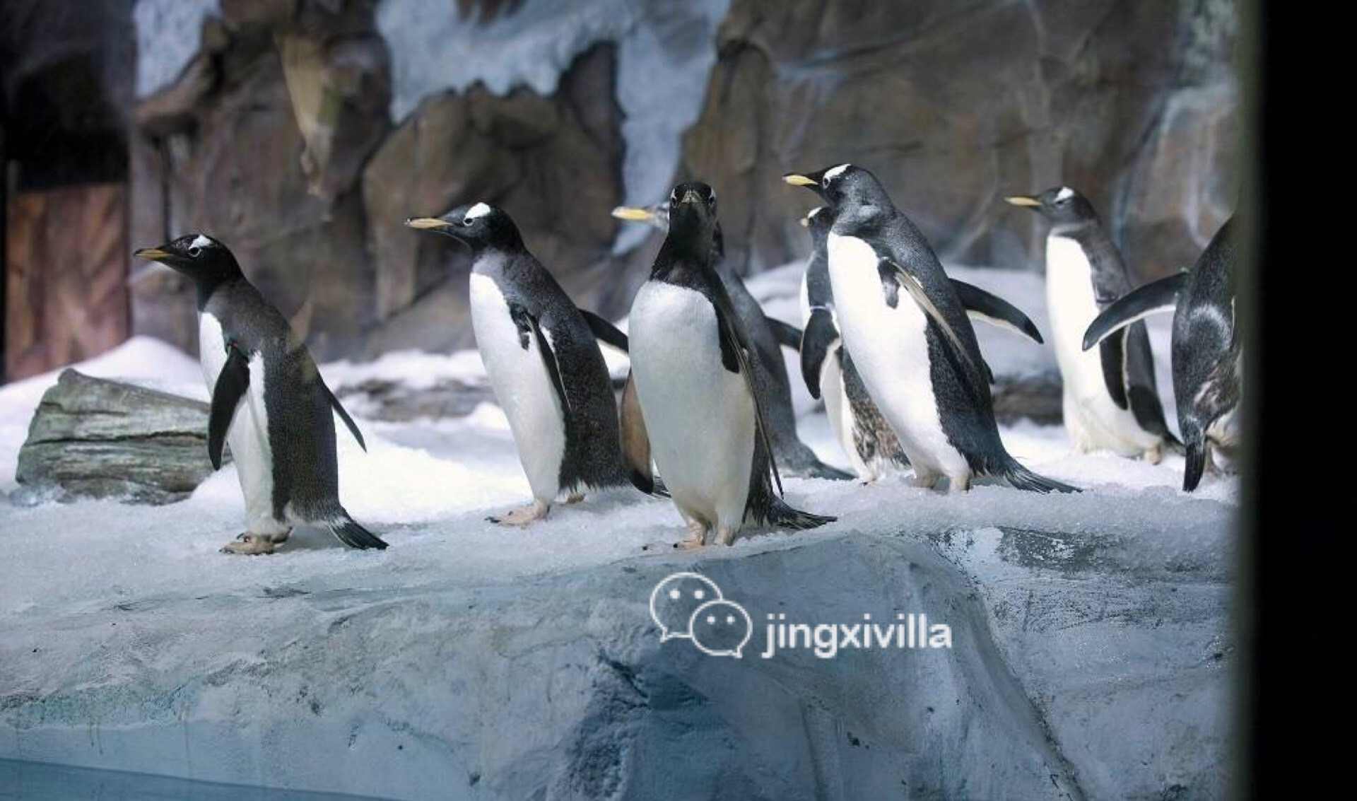 泰国曼谷亲子游攻略视频,泰国曼谷亲子游行程