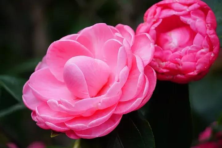 e-mount索尼,emount镜头焦段