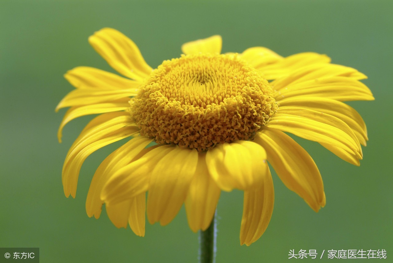 六大举措让你摆脱痔疮烦扰,什么动作防止痔疮