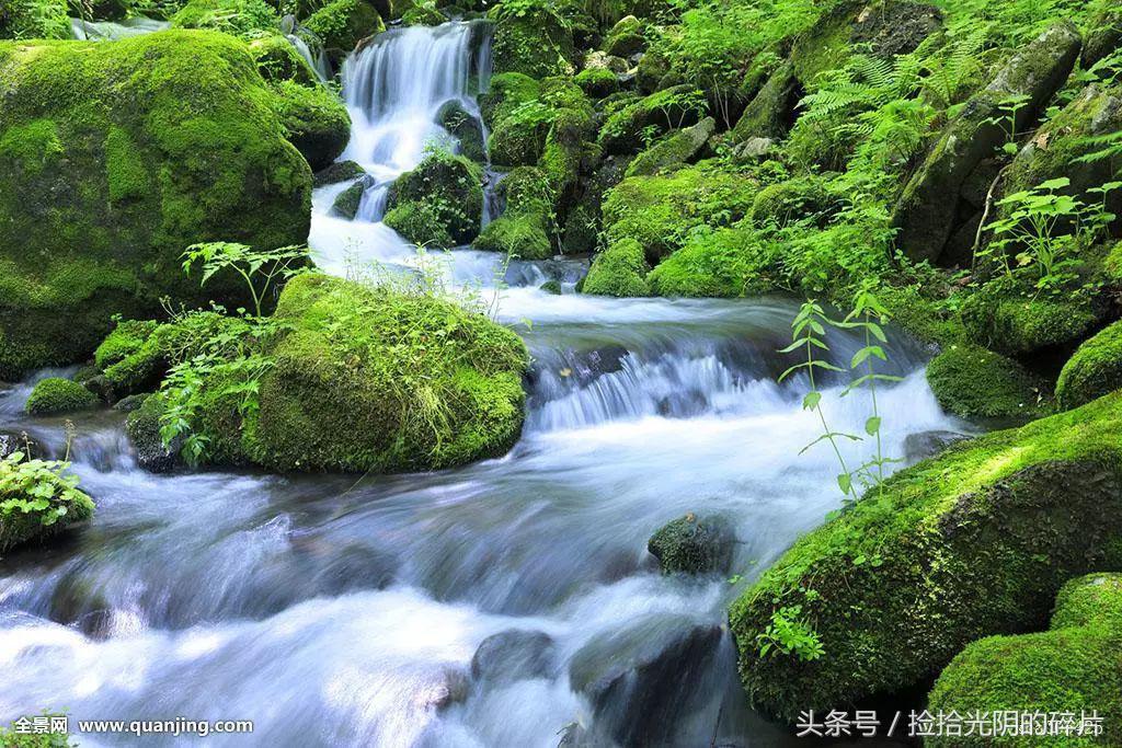 风过竹林的诗句,诗风入林