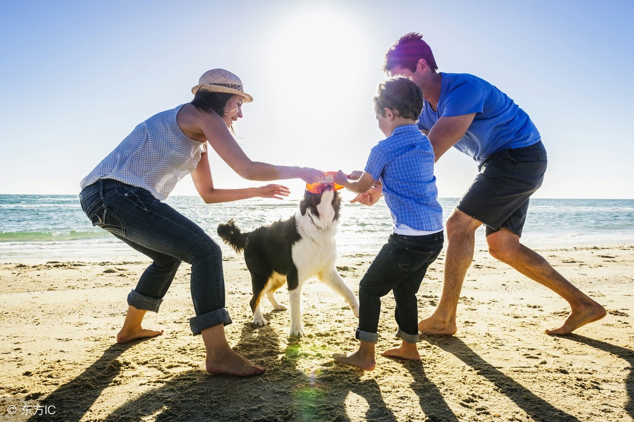 伤心的时候怎么办歌词,伤心的时候该怎么办才好