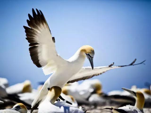 涓嶅閿欒繃鐨勬梾琛岀洰鐨勫湴,姝ょ敓蹇呭幓鐨勬梾娓哥洰鐨勫湴