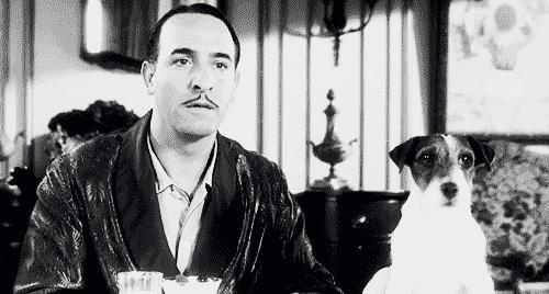 盘点世上的狗狗,盘点那些汪星人和喵星人