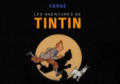 盘点世上的狗狗,盘点那些汪星人和喵星人