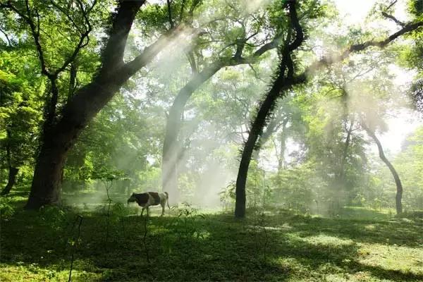 南昌自驾游攻略景点推荐一日游,南昌附近免费好玩的地方自驾游