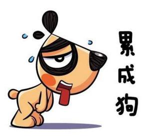 狗年说狗民间关于狗的传说,狗年说狗不吃狗肉