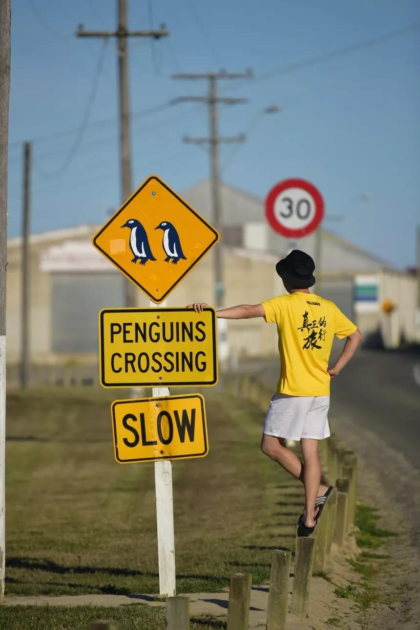 可以媲美欧洲的自驾游地区,十大最适合自驾游的国家