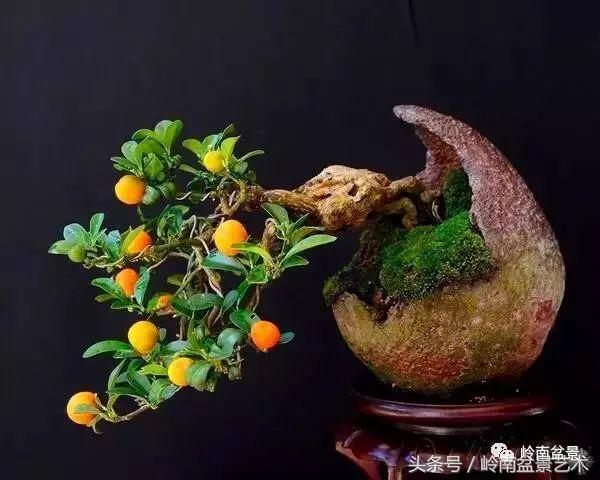 过年送礼好不好,过年送礼单数还是双数好