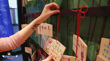 被一大票明星追捧、几乎每家都排队的抹茶店来沈阳啦！明天开业！