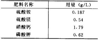 马蹄莲种植方法和注意事项图片,无土栽培马蹄莲花卉