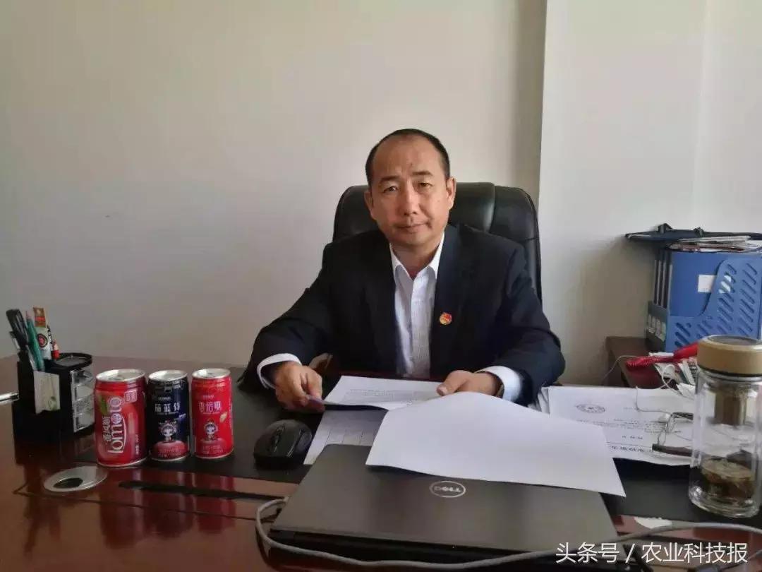 从传统商业模式到电商的转型范文,从农民到百亿创业靠红枣翻身