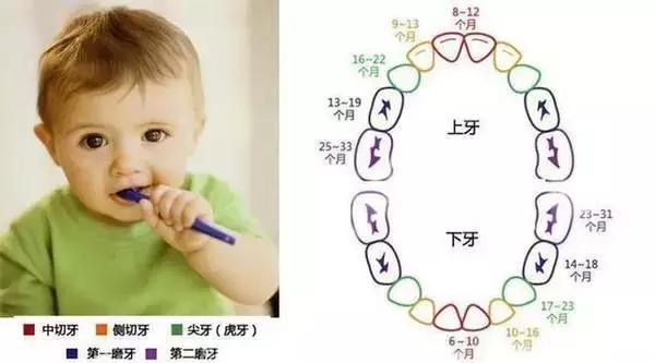如何帮宝宝缓解出牙不适,6周岁出牙不适症状怎么缓解