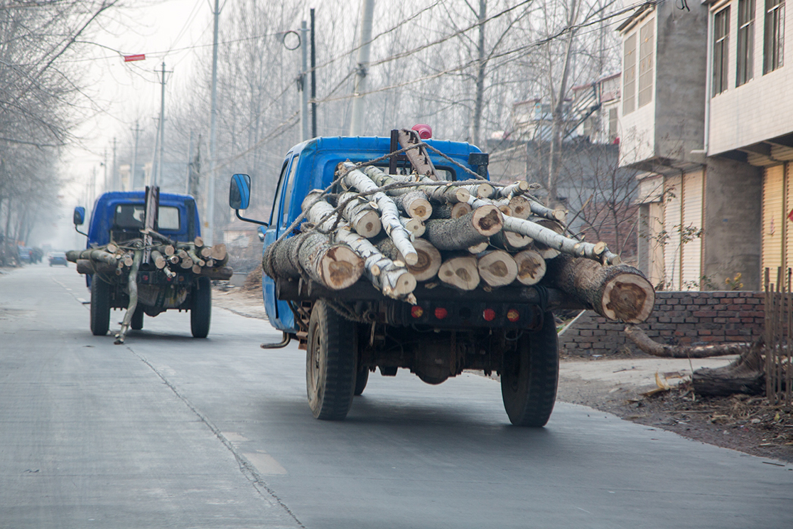 适合农村人在家做的小生意,在农村做什么小生意是最好做的