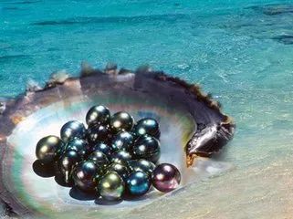 大溪地是海岛中的爱马仕,大溪地奢侈品