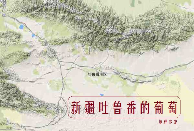 吐鲁番葡萄甜的原因,为什么新疆的葡萄最好