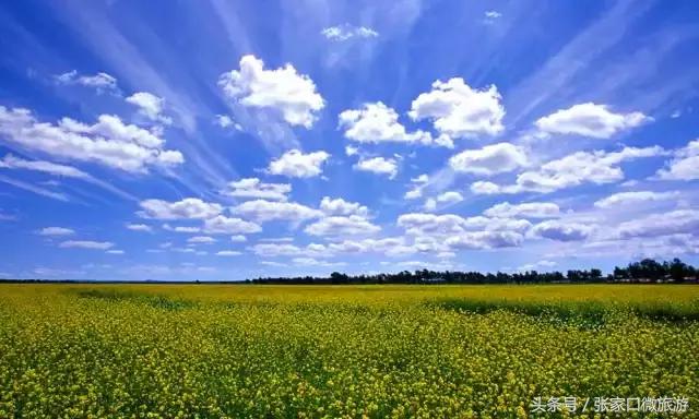 张北的草原,张北草原人少景美
