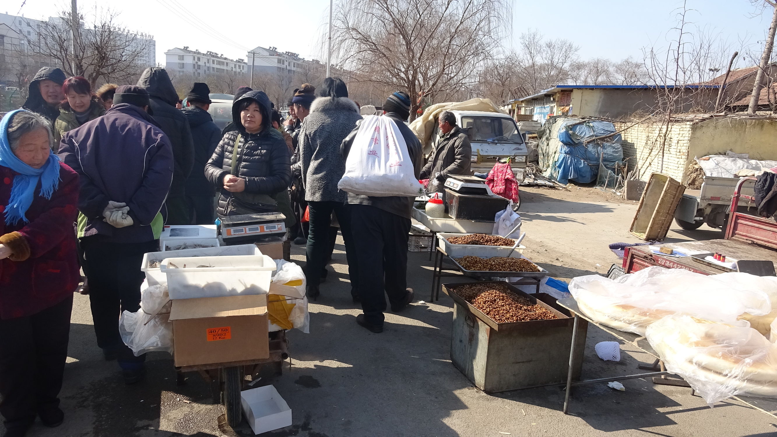 我的家乡集市,临朐县城大集