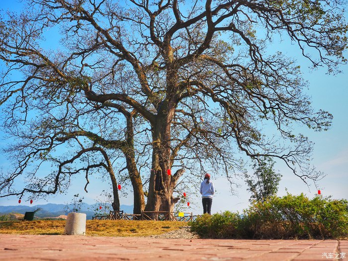 经典福克斯手动自驾游,福克斯stline自驾游