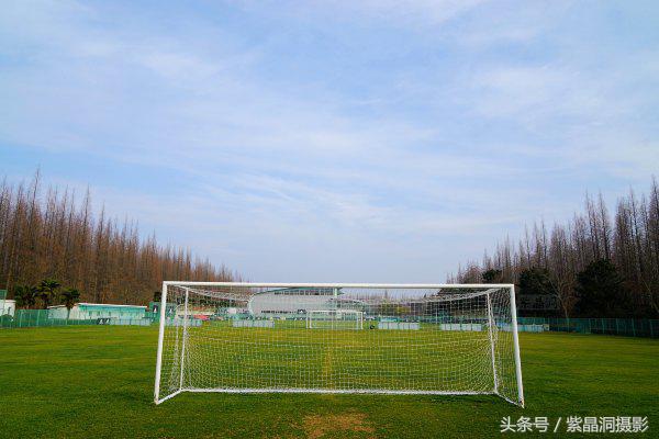 武磊助西班牙人收入猛增,武磊最新身价达2000万欧