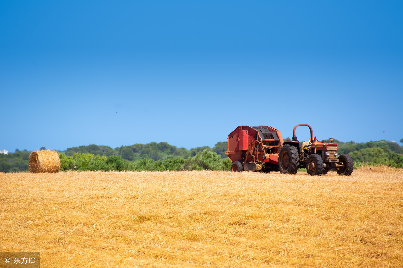 饲料行业现状与前景,饲料行业现状