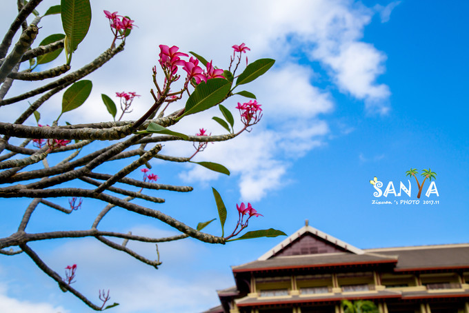 三亚离海南有多少公里,三亚一生去几次