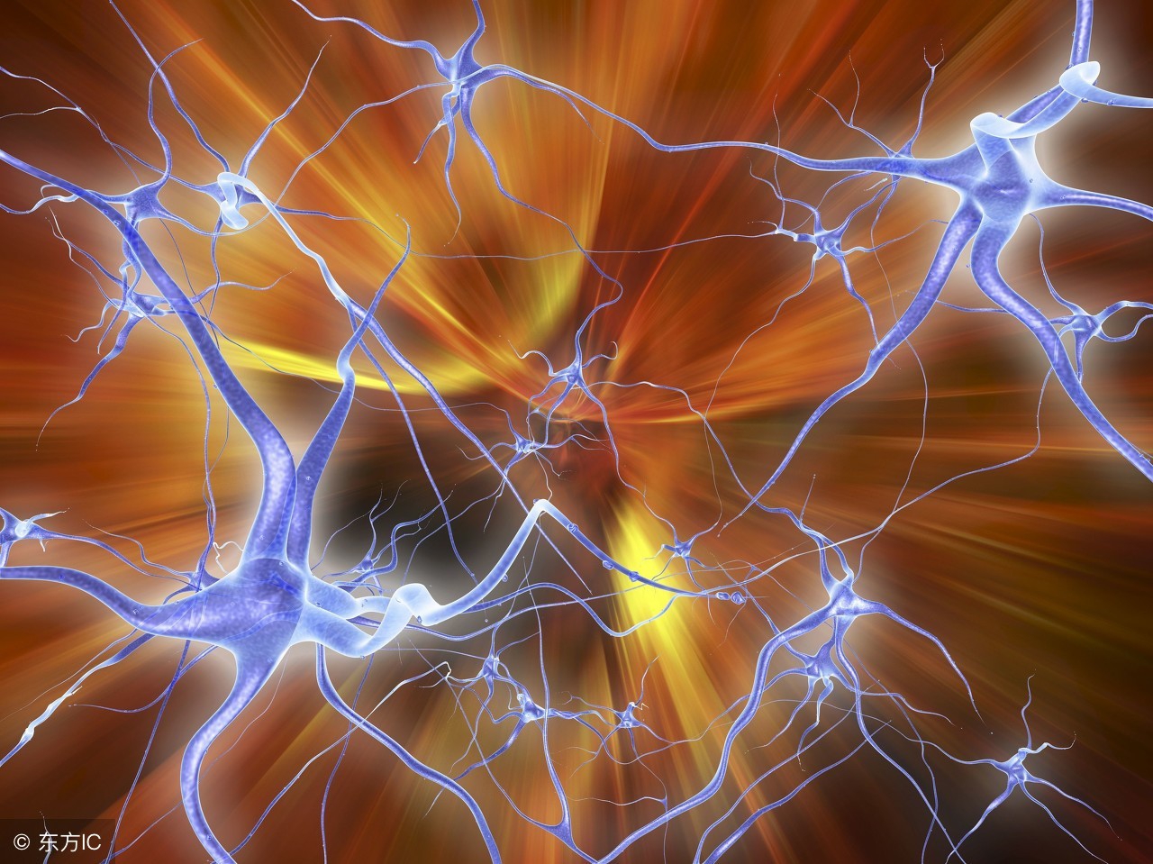 壁虎的断尾再生术,壁虎断尾再生现象有哪些