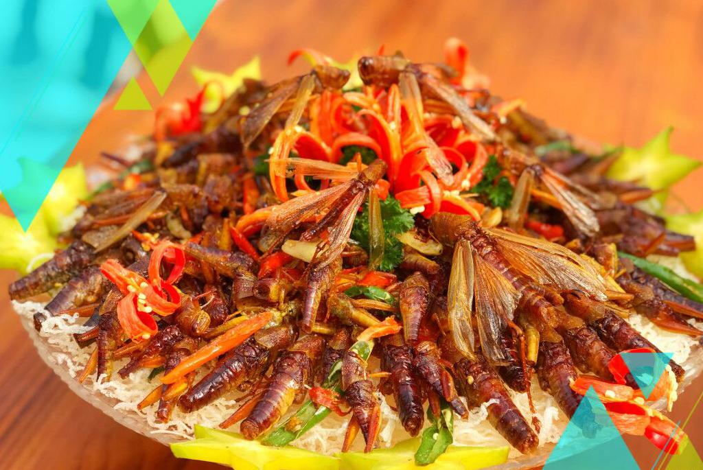 新春旅行去哪里,新春出游目的地