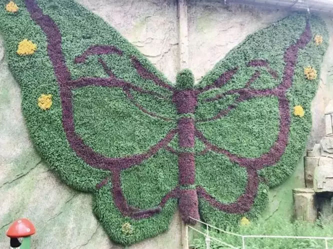 鏂版槬浣宠妭鍒板勾鍛虫棩娓愭祿,鏄ヨ妭鍒板枩姘旀磱娲嬭繋鏂板勾