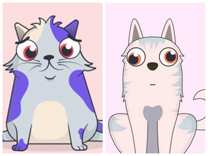 你的小蛤蟆凉了吗，王者峡谷的号角声可在耳畔？