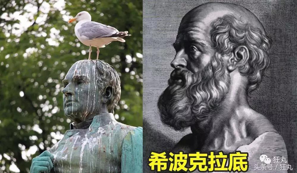 麦当劳薯条治疗脱发,麦当劳薯条掉头发