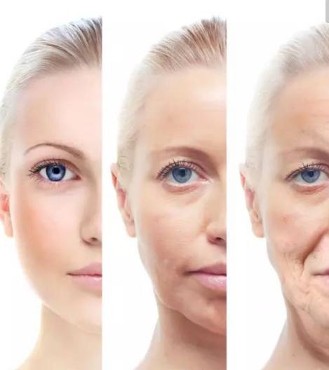 胶原蛋白属于什么保养品,胶原蛋白经常被人们说起是真的吗