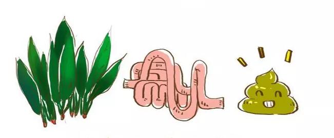 宝宝7天不排便正常吗,5个月宝宝7天不拉大便怎么办